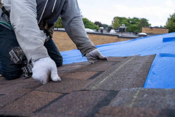 Best Commercial Roofing Services  in Portsmouth, VA