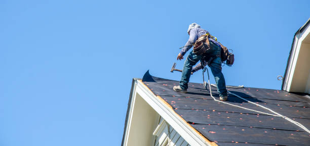 Best Emergency Roof Repair  in Portsmouth, VA